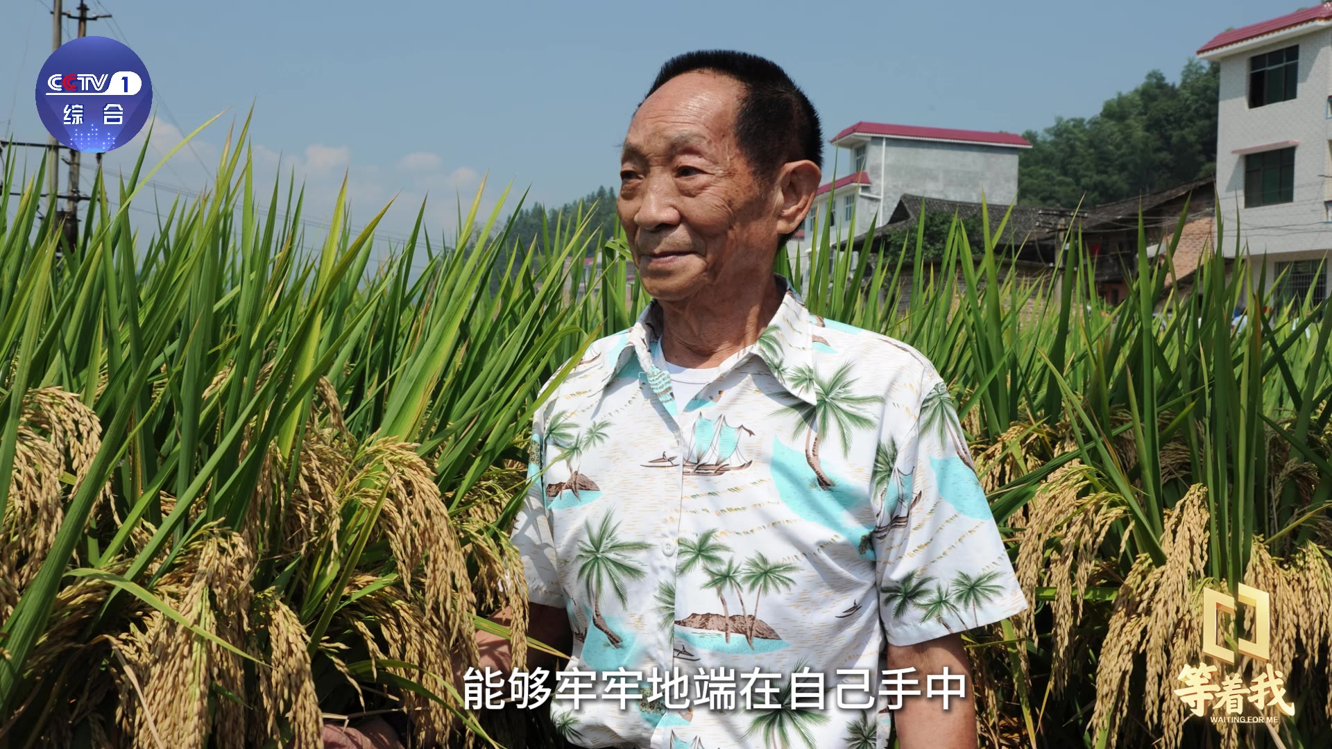 杂交水稻之父袁隆平|袁氏家风|袁氏论坛｜袁氏名人｜袁氏起源｜袁氏研究|袁氏宗亲|袁氏始祖|袁氏堂号|袁氏历史|袁氏宗祠